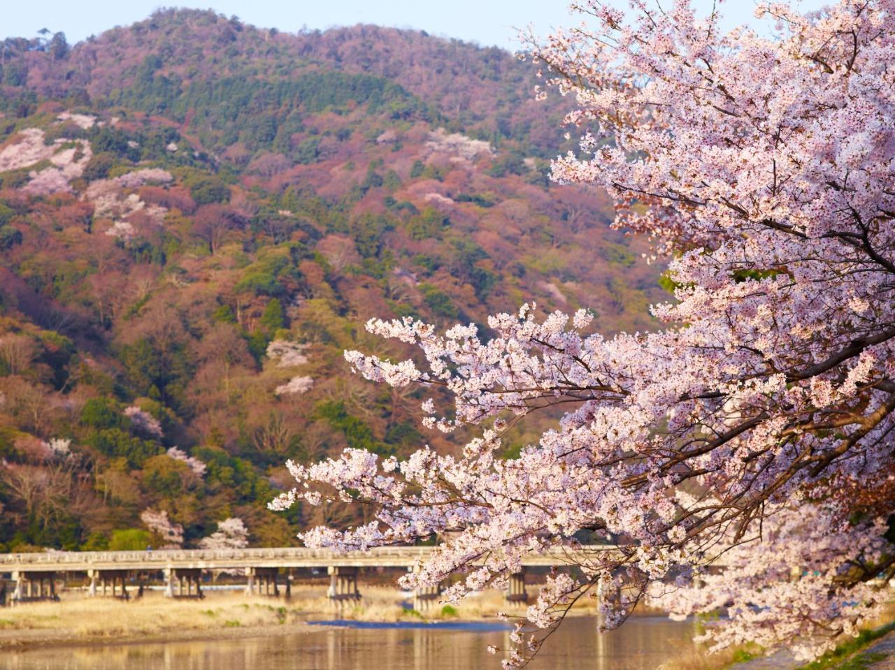 L'Hotel De Hiei Kyoto Bagian luar foto